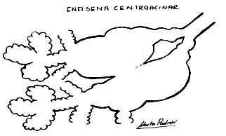 Enfisema Centroacinar.
